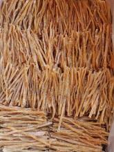 Frozen Dried Squid Strips Dosidicus Gigas