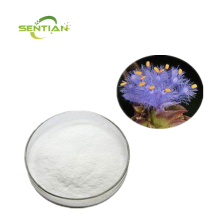 Dew Grass Extract Beta Ecdysone Powder
