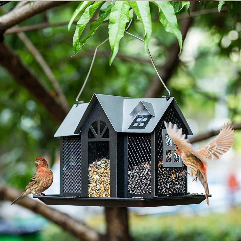 Casa di mangiatoia per uccelli selvatici a maglie metalliche