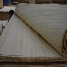 poplar wood logs engineered wood veneer