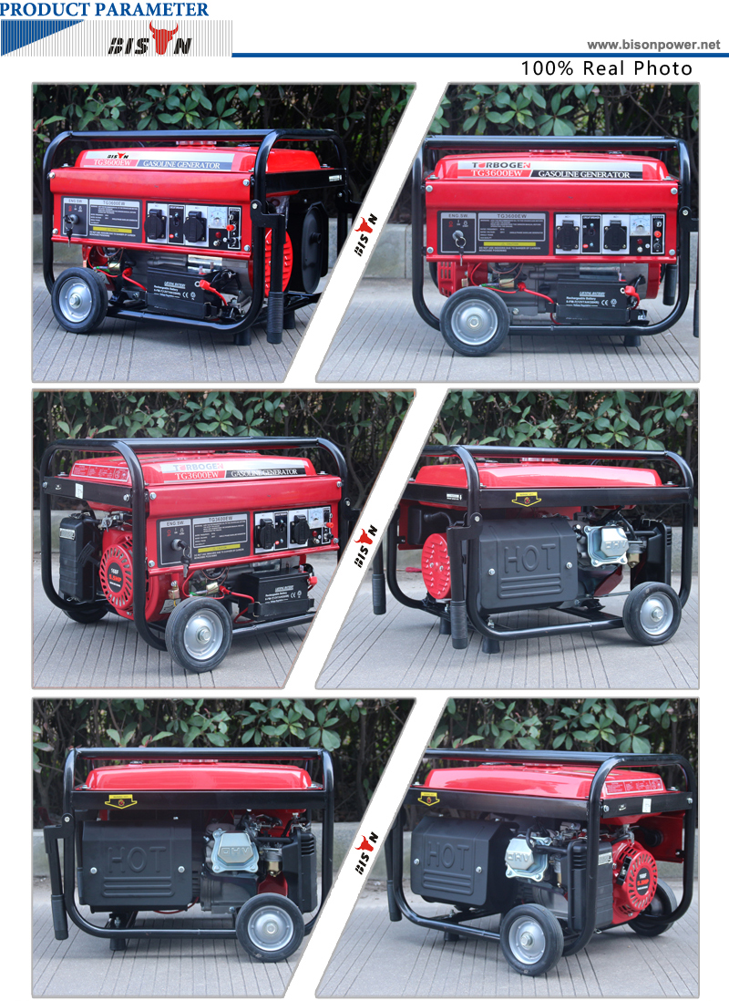 BISON CHINA 2kw Recoil Start Generator Air Cooled Single Cylinder OHV Gasoline Engine High Voltage AC Generator 2000w