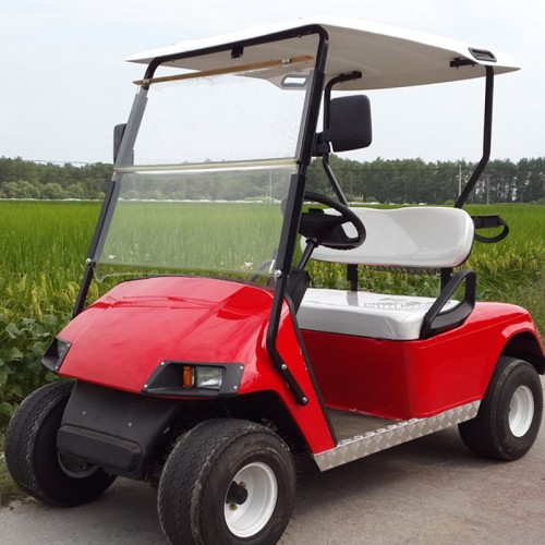 Carrello da golf elettrico a 2 posti a batteria