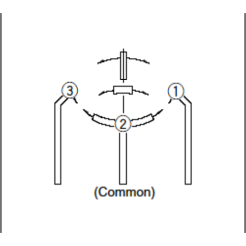 Bidirectional perception Detection switch