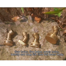 Water Mist Brass Nozzle for Agriculture Knapsack Sprayers