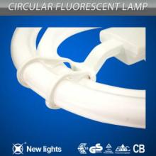 Double Circle  fluorescent lamp