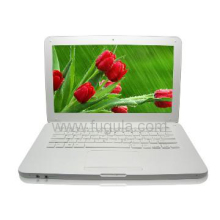13.3 inch PC laptop with DVD rom for School students