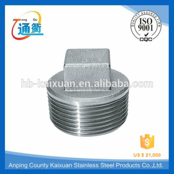 stainless steel plug fittings hexagon plug/square plug