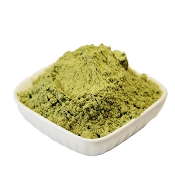 Natural pure alfalfa extract 10:1 powder