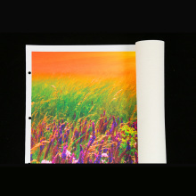 Art Cotton Canvas Roll for Advertising