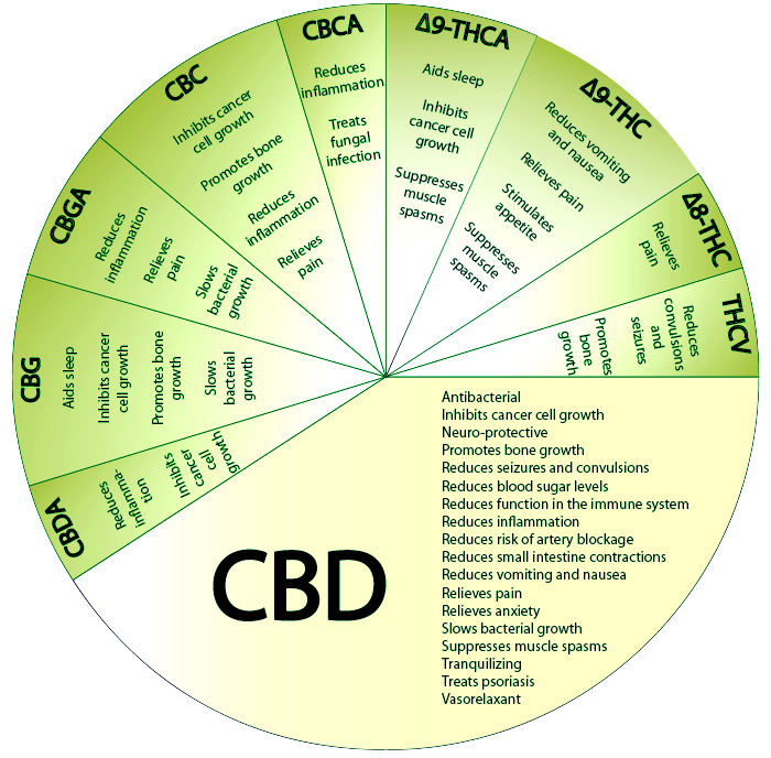 cbd powder price