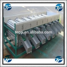 Professional Automatic Fruit Washing And Sorting machine Price