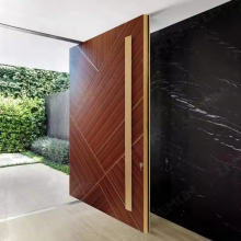 OEM Pivot Front Entry Doors and Hinges for Wood Doors