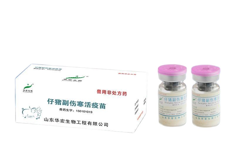 Vaccin contre la paratyphoïde HUA-Porcelet, en direct HUA-Piglet Paratyphoid Vaccine,Live