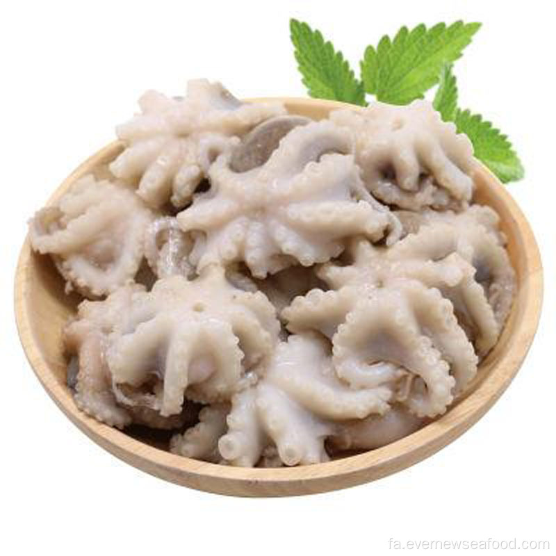 اختاپوس بچه اختاپوس یخ زده کاملا تمیز شده