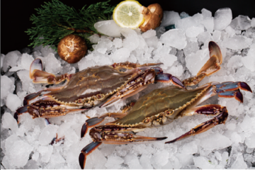 Frozen Swimming Crab Whole Round