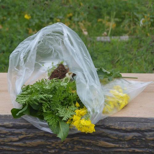 Hochleistungs-kundenspezifische durchsichtige offene Plastiktüten