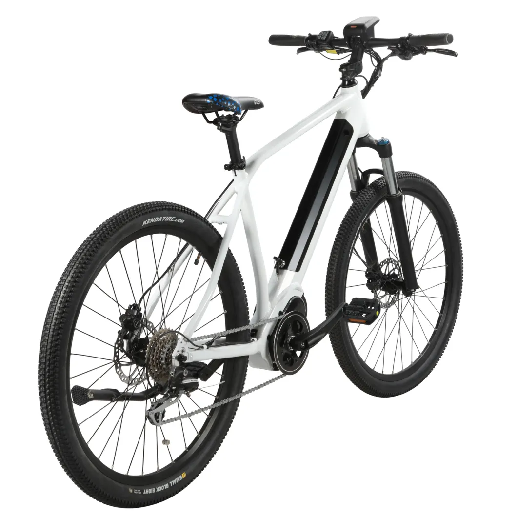 26inch E City Bike 36V/48V Electric Bicycles 1 Piece Sales