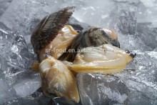 IQF Surrf clam/short necked clam meat