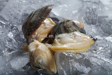 IQF Surrf clam/short necked clam meat