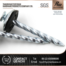 Roofing Screw with Neoprene Washer Roofing Screw from China