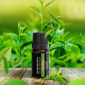 Pure Tea Tree Oil Face Bulk Wholesale Prices