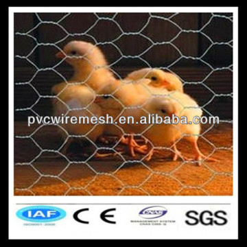 Hot sale chicken wire net 3/4 inches