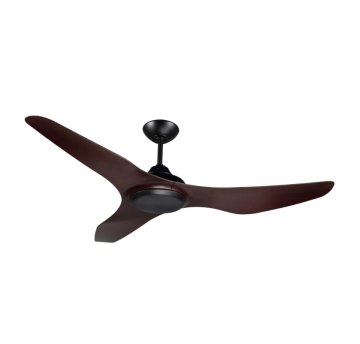 Ceiling mounted ceiling fan