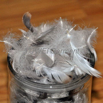 Washed Grey Goose Feather 4-6CM