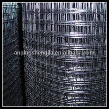 PVC Coated Welded Wire Mesh (Hebei Factory &export)