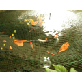 Plastic Square Pond Mesh