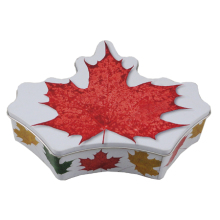 cookie packing wholesale metal abnormity tin box