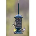 Squirrel Buster Bird Feeder