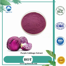 Colina roja pura /extracto de col púrpura antocianinas de polvo