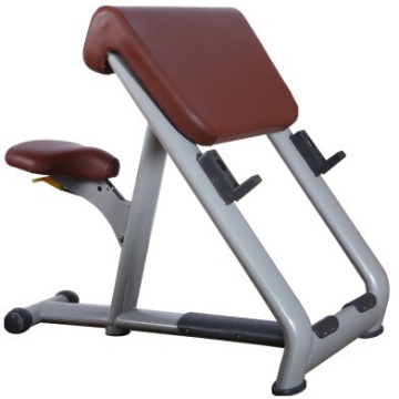 Scott Bench Fitness Gym Equipment Strength Training