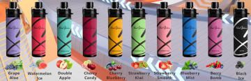 Hot Sale Next Shisha My Shisha 10000 Puffs Disposable Vape Pod