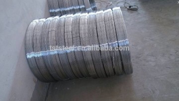 Cold Galvanized iron Wire, Electro Galvanized Iron Wire, Flat Galvanized Iron Wire