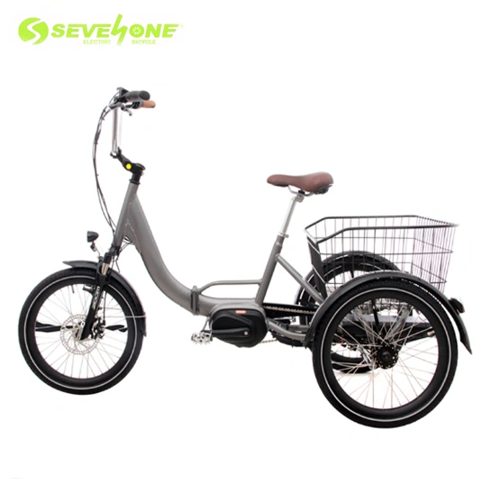 Wholesale Electric Ticycle for Cargo Foldable Frame