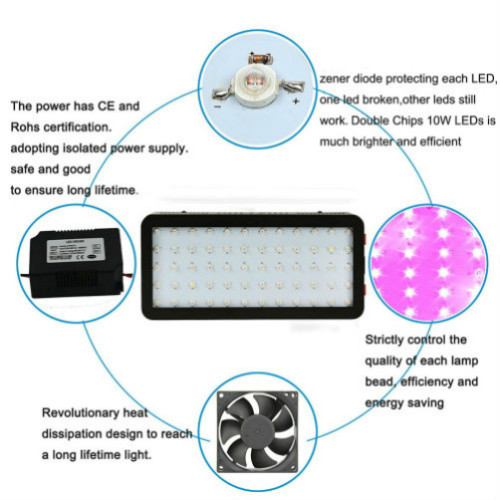 Vườn trong nhà 100 watt LED Plant Light