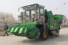 Chinese corn harvester reaper
