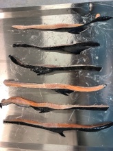 Frozen Salmon Back Trim