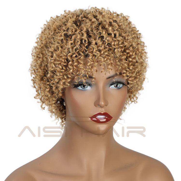Aisi Hair Pixie Cut Short Afro Curly Kinky Wave #613 Blonde Unprocessed  Brazilian Short Brazilian Hair Brown Wig