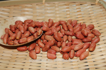 Chinese long type peanut kernels