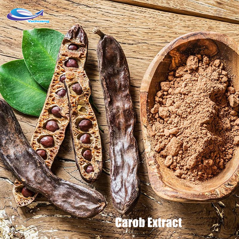 antrodia camphorata extract effects