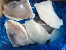 Frozen John Dory Fillet