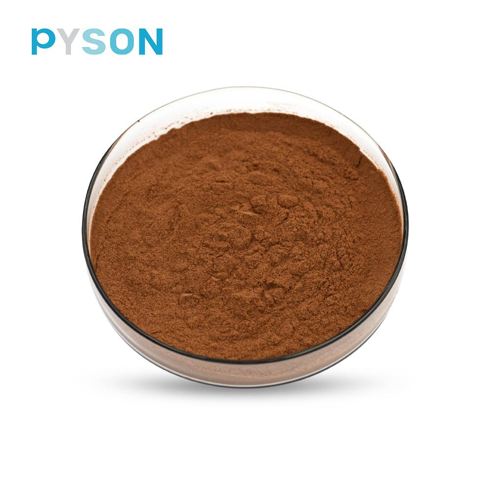 Phellinus Igniarius Extract