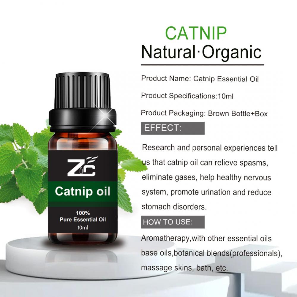 Catnip Essential Oil 100% Pure Oil for Diffuser Massage
