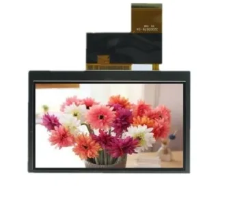 4.3 Inch LCD Screen Door Bell Monitor & PDA LCD Display Rg043dqt-01r