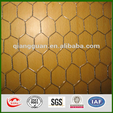 Top quality electric chicken fencing galvanized , hexagonal wire netting