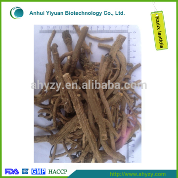 Chinese Dry Indigowoad Root