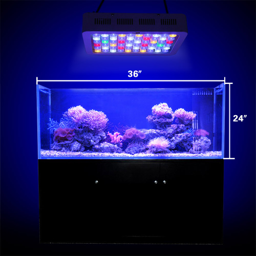 Lampada a LED dimmerabile con interruttore Aquarium Coral
